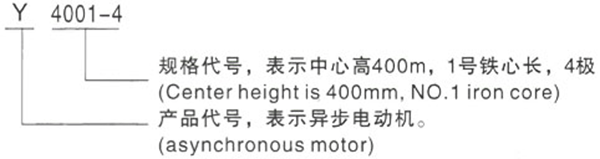 西安泰富西瑪Y系列(H400-500)380V低壓大功率三相異步電動(dòng)機(jī)型號(hào)說(shuō)明